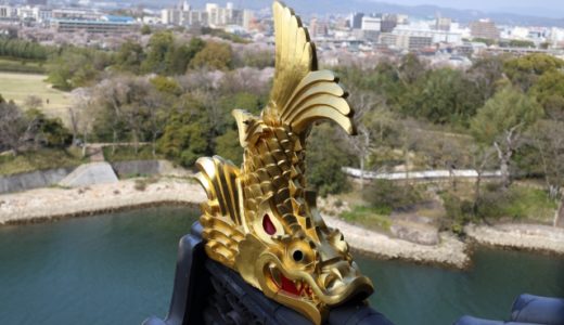 愛知県のキャンプ場で無料で使える７選！