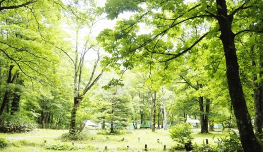 関東で最高に楽しめる無料キャンプ場3選！