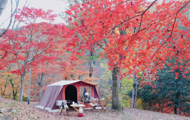 東京に無料キャンプ場がある 東京の無料キャンプ場をご紹介 Asoblog アソブログ