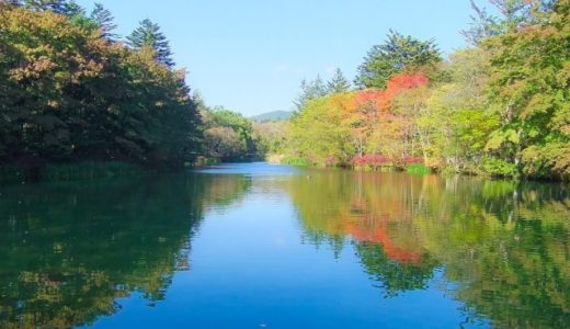 軽井沢に無料キャンプ場はあるの？