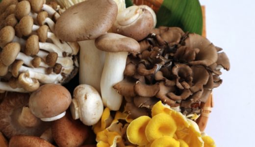 秋のキャンプおすすめメニュー【季節のものを取り入れよう】