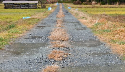 こんなにある！雨の日キャンプの楽しみ方7選！