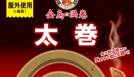 キャンプ時に大活躍！虫除け蚊取り線香のおすすめはこれ！