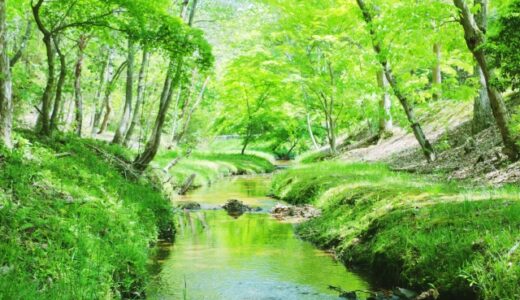 夏のおすすめキャンプスタイルはこれ！暑い夏も楽しく過ごそう