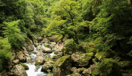 【2025年最新】清流と太平洋の恵み！徳島県の自然を遊び尽くすキャンプ場5選