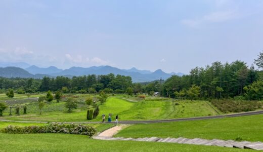 【2025年最新】海から高原まで！新潟県の自然を遊び尽くすおすすめキャンプ場5選