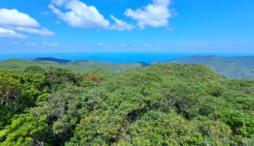 【2025年最新】火山と黒潮の恵み！鹿児島の雄大な自然を体感するキャンプ場5選