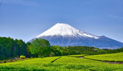 【2025年最新】富士山の絶景を望む！静岡県の魅力あふれるおすすめキャンプ場5選